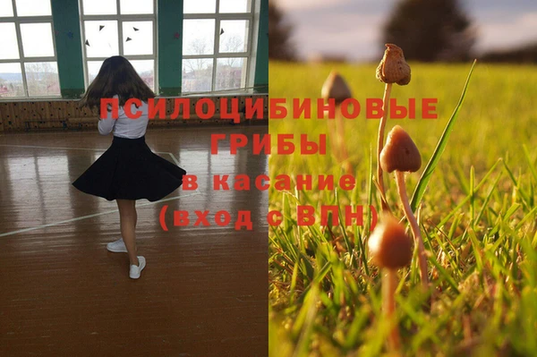 бутират Нязепетровск